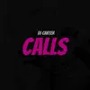DJ Carter - Calls - Single